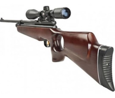 Air Rifle